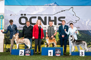 Terra Astreya Dilan Rai, Erfolgreich Shiba, CACIB Premstätten Hundeausstellung, Richter Erwin Deutscher, Richter Monika Petermayer, Dog Handling Eduard Vorderleitner,