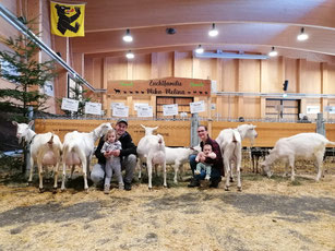 Die Zuchtfamilie von Melina an der Ziegenausstellung in Zweisimmen.