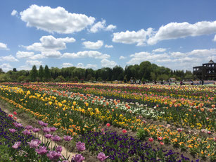 庭づくり　備北丘陵公園　庄原　ガーデニング　広島　廿日市