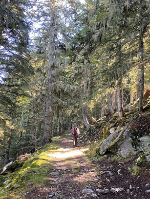 Accès aux Cortalets par l'ancien chemin forestier de Balaig
