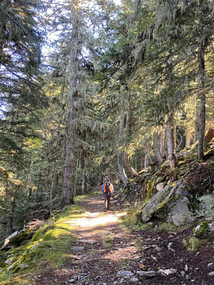 Accès aux Cortalets par l'ancien chemin forestier de Balaig