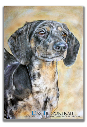 Faber Castell Polychromos