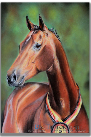 Faber Castell Polychromos