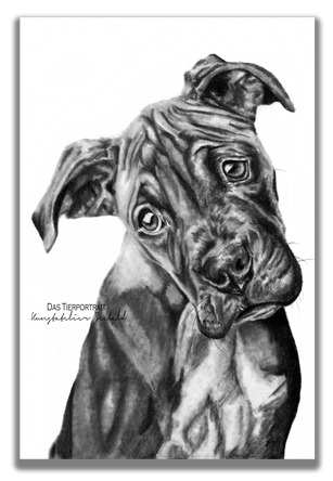 Faber Castell Polychromos