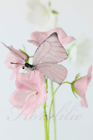 Wafer Paper Butterfly and Campanulas | Floralilie Sugar Art