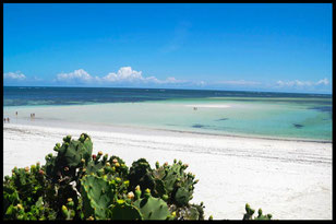 watamu beach spiaggia