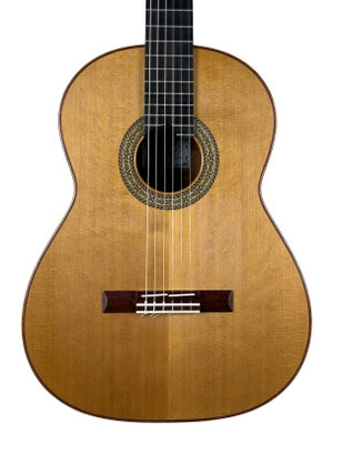 Guitare classique John Price 