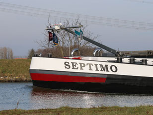 Septimo