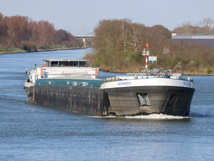 ms Novandi 2