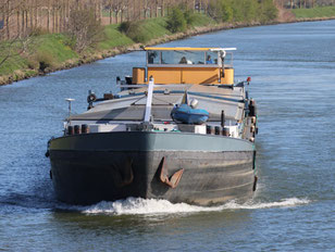 ms Joveante
