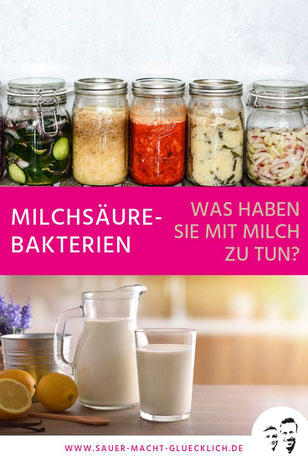 milchsäurebakterien, milchsäuregärung