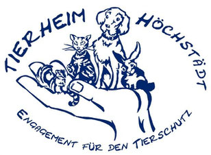 diese hunde suchen ein zuhause tierheim hoechstaedt de