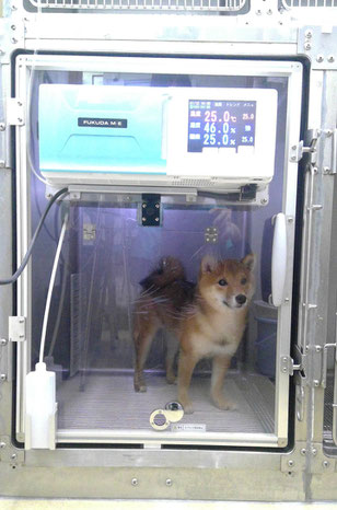 生体モニター LifeScope BSM-3592