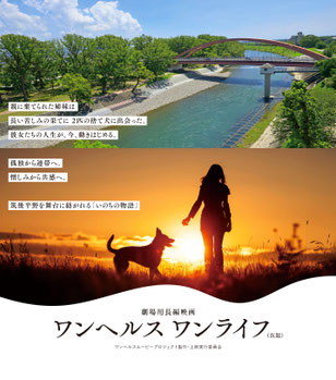 映画「ワンヘルス　ワンライフ（仮題）」のポスター画像