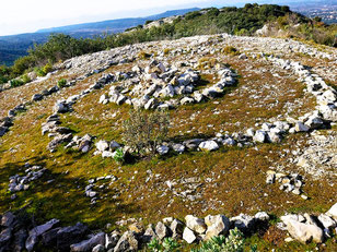  Le plateau de Sèze, le Cuou du Peyrou et  le Mont Trésor : 28/01/2023