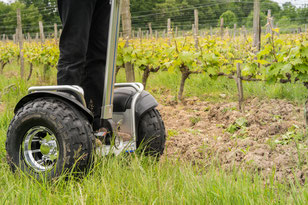 VinoLoire - Vincent Delaby - Excursions privilégiées dans les domaines vignobles du Val de Loire - Visites découverte en gyropode