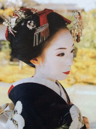 舞子,舞妓,Maiko