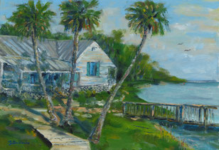 Grant/Valcaria on Indian River, Fl