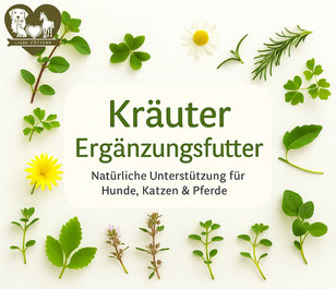 REICO Vital Ergänzungsprodukte für Hunde, Katzen & Pferde.