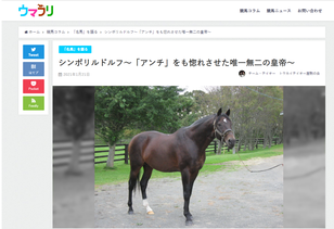 トウカイテイオー産駒を応援するチーム・テイオー - 「チーム