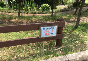 公園 山田 池