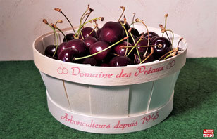 Cerises du Domaine des Préaux (Ecquevilly).