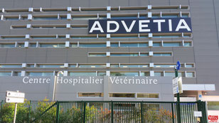 Centre Hospitalier Vétérinaire Advetia à Vélizy-Villacoublay.