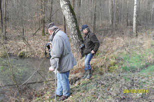 Das Wanderziel der Exkursionsteilnehmer: kleine fischfreie Teiche im Wermsdorfer Forst. Foto: Olaf Schmidt