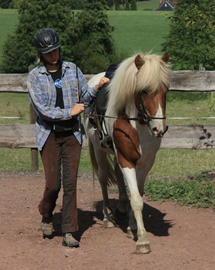 Pferd und Reiterin bei der Bodenarbeit, diesmal auf der Geraden