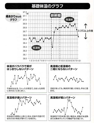 基礎体温のグラフ