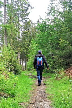 Liekwegen, Obernkirchen, Mitmachstationen, Naturerlebnispfad, Dinos Natur, Wandern, ganze Familie, Wald, Natur, Berghütte Brandshof
