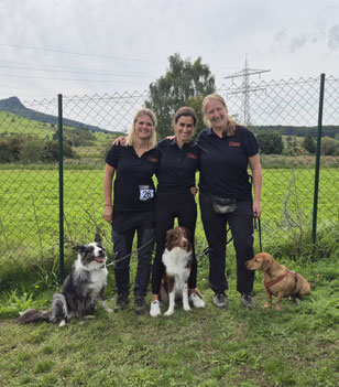 Drei Personen in schwarzen Poloshirts und schwarzen Hosen stehen vor einem Maschendrahtzaun auf einer Wiese, jede Person mit einem Hund: zwei mittelgroße Hunde sitzen links und in der Mitte, ein kleiner Hund sitzt rechts.