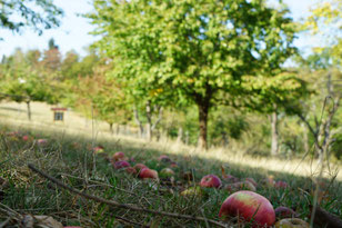 Foto: NABU/M.Gräwe