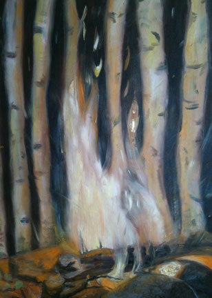80 x 60cm