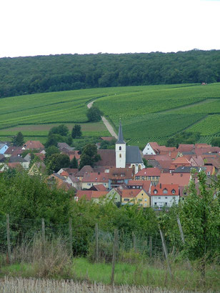 Obereisenheim mit Weinlage Höll