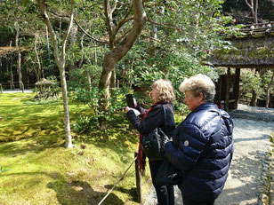 　　　　　　 Gio-ji Temple,    Garden of the moss