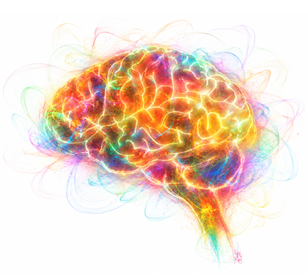 Développement du cerveau de l'enfant et gestion des émotions à Francheville, Vourles et Charly. Comprendre les colères, frustrations et réactions émotionnelles.