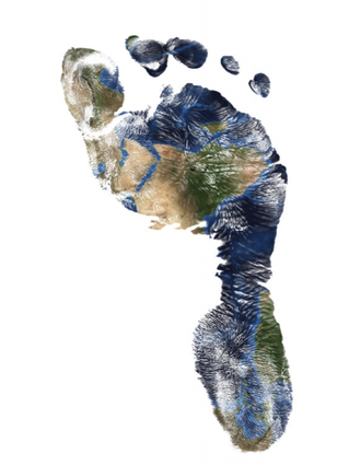 Foto: Fotolia|Creativemarc