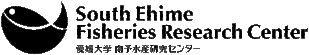 SEFREC Japanese Language web site