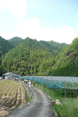 豊かな自然が気持ちいい久万高原