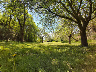 Foto: Doris Blovsky