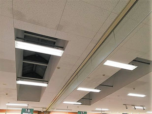 防カビ施工後の天井