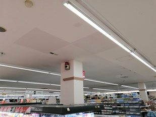 防カビ施工後の天井