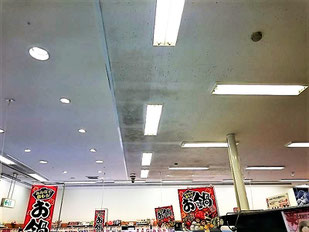 カビ除去前の天井のカビ