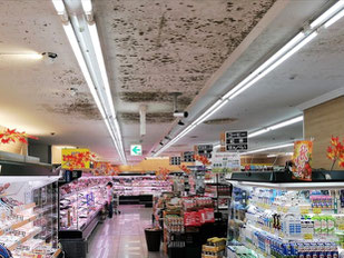 カビ除去前の天井のカビ
