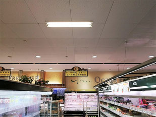 防カビ施工後の天井