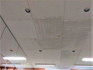 防カビ施工後の天井