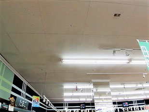 防カビ施工後の天井