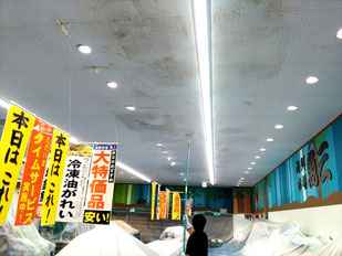 防カビ剤コーテイング作業中