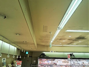 カビ除去前の天井のカビ